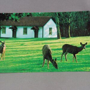 Vintage Postcard - Fort Rodd National Park Canada - Parks Canada